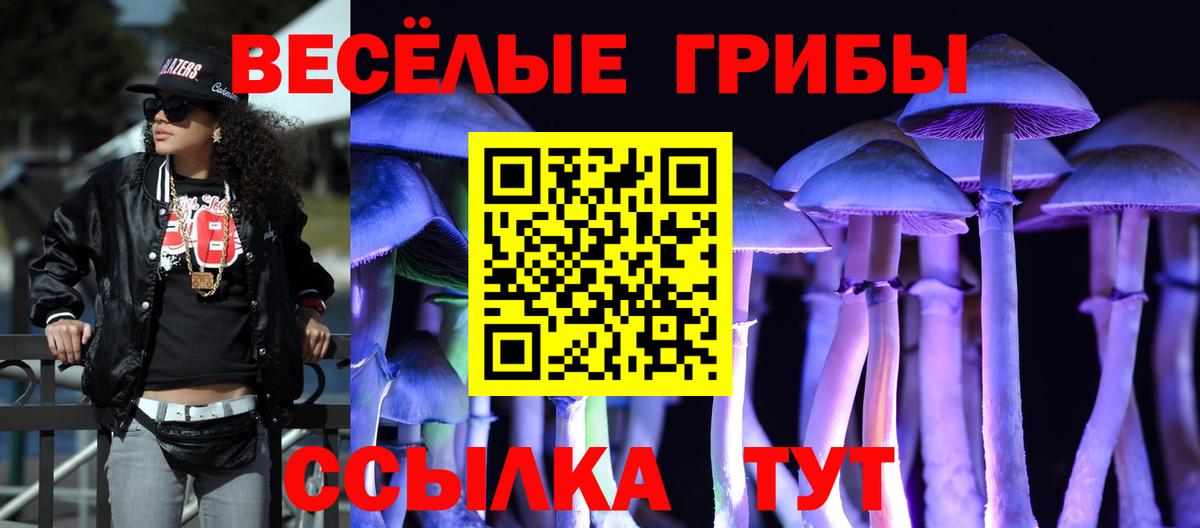 Новодвинск  Галлюциногенные грибы Magic Shrooms  Вход с VPN 